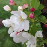 Logo pic for Park City GC