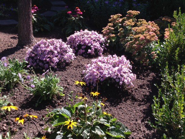 Pollinator Garden 1