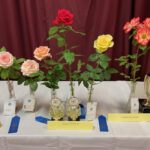 Rose Show 2024 IMG_3481
