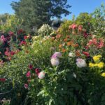 Dahlia tour IMG_4554 for web